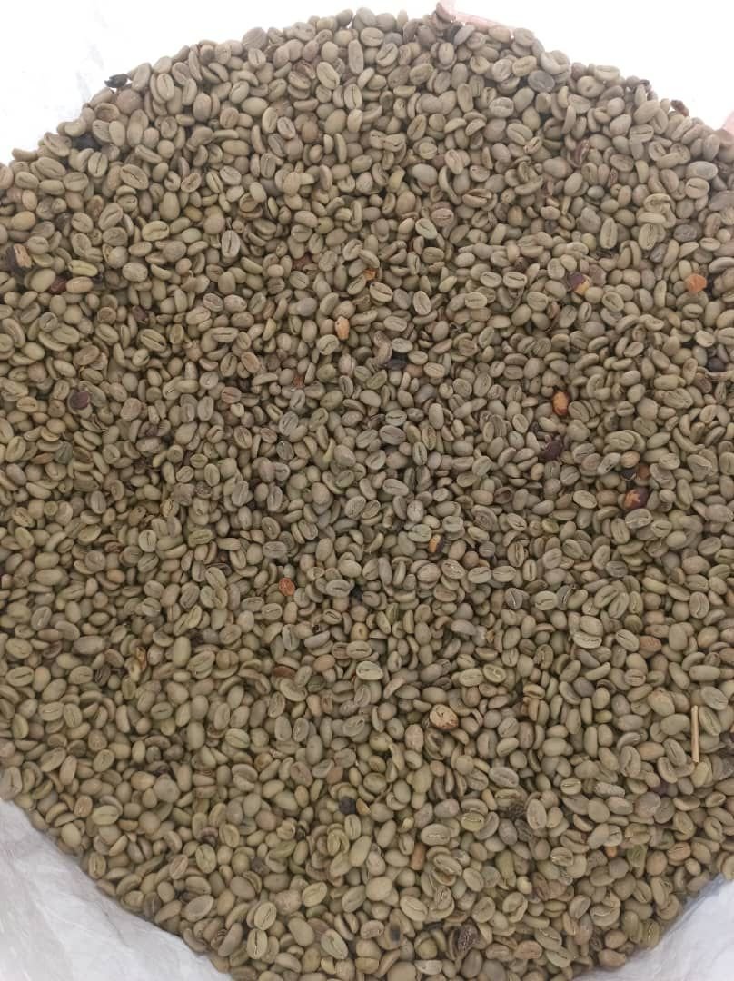 img 20251027 wa0015.jpg