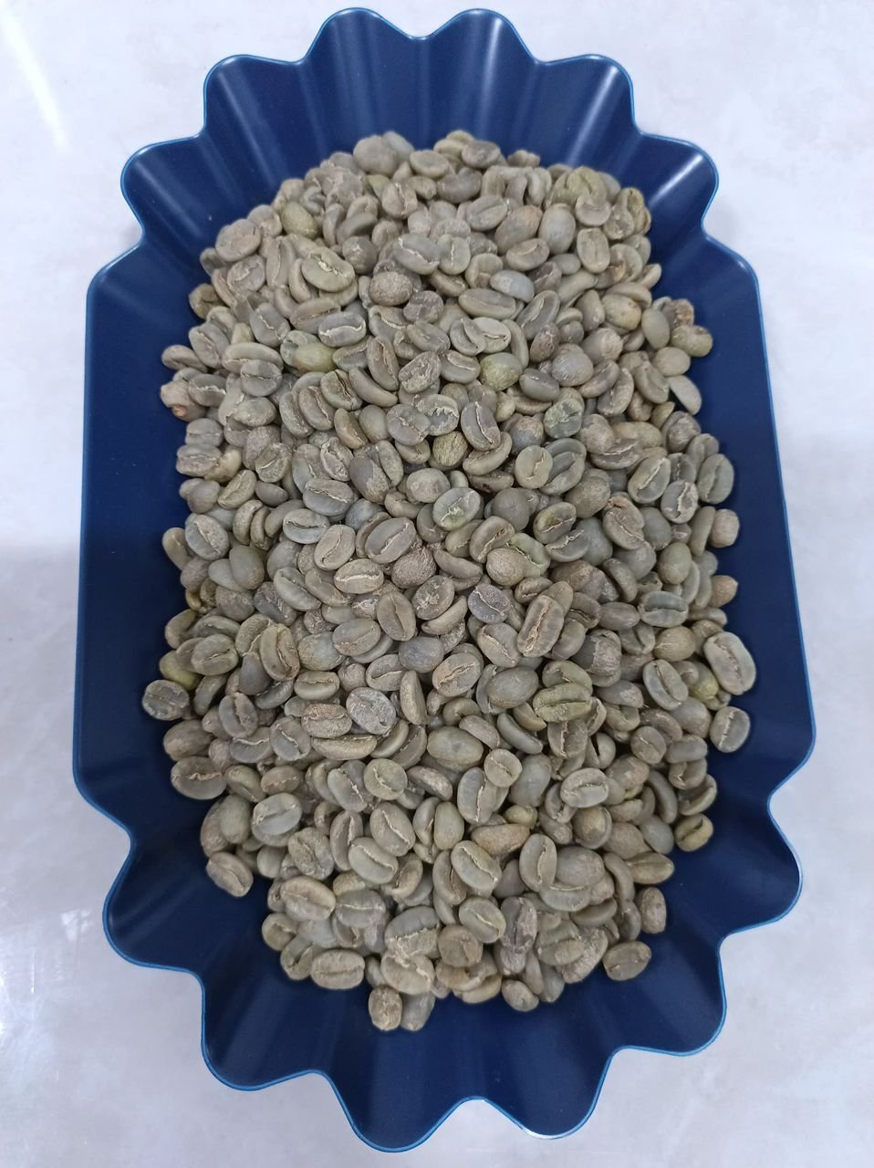 img 20251027 wa0021.jpg