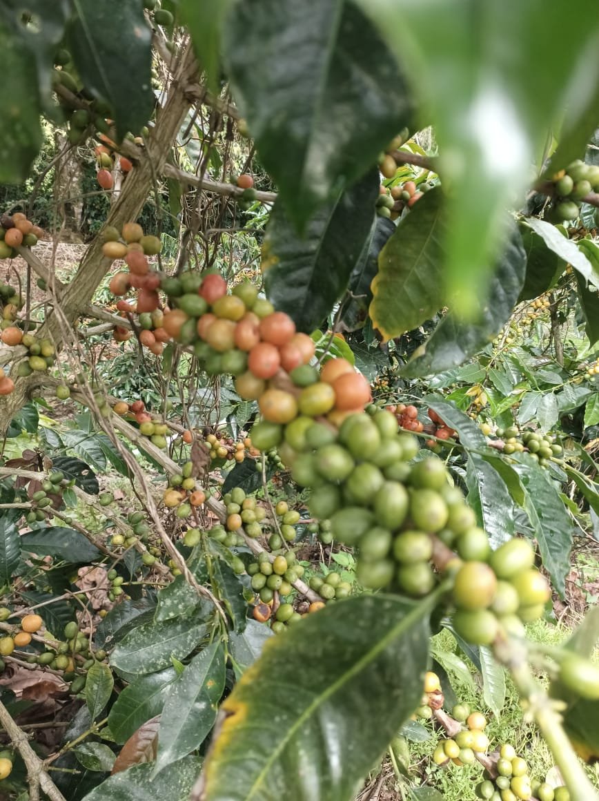 img 20251028 wa0009.jpg