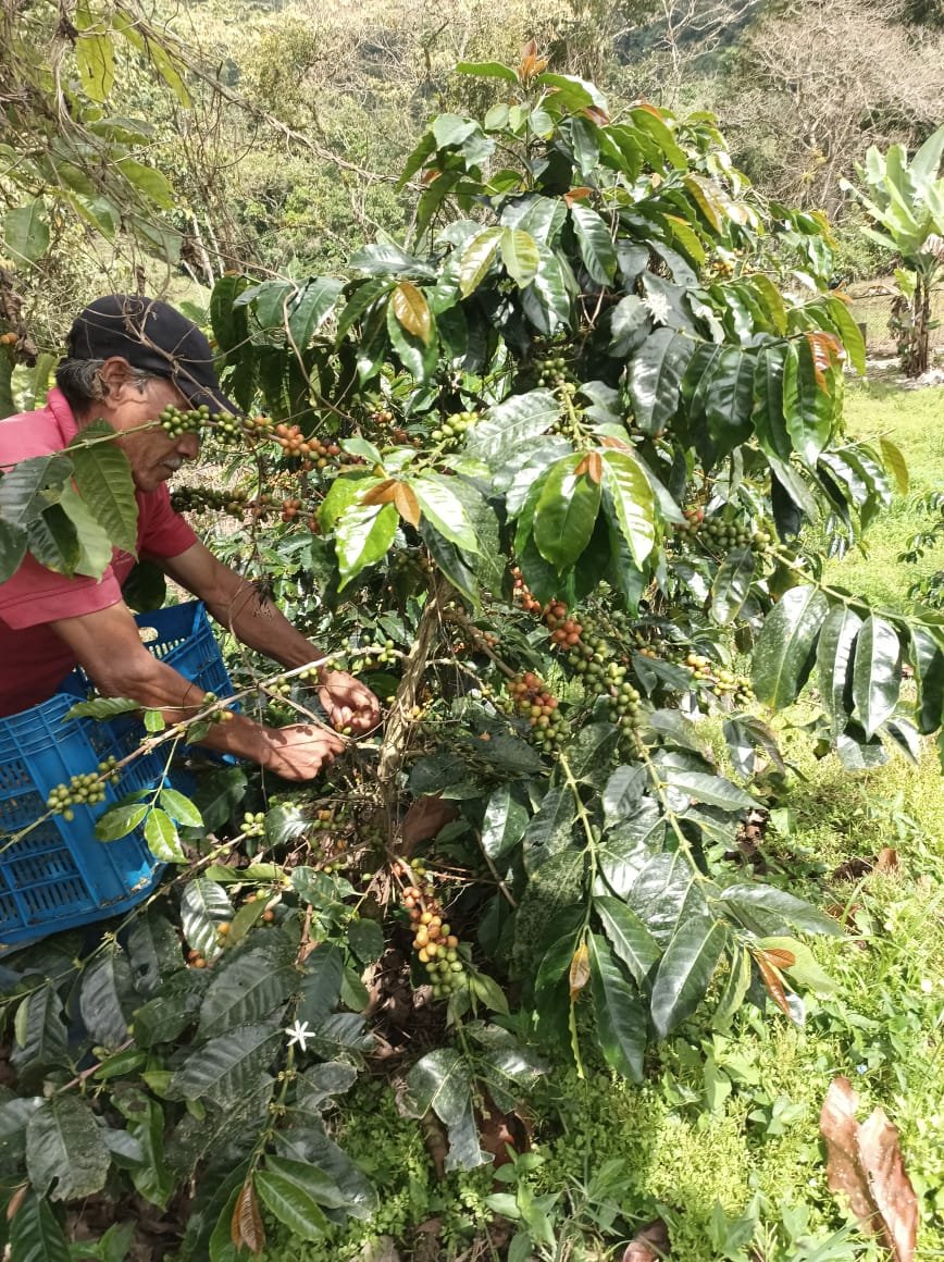 img 20251028 wa0010.jpg